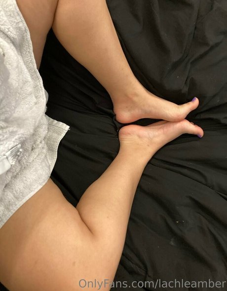 lachleamber model freie galerie