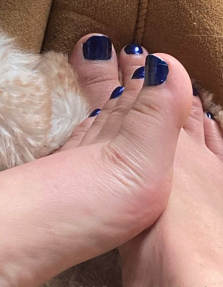 lachleamber top beste bild