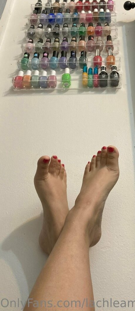 lachleamber perfekte pornostar galerien