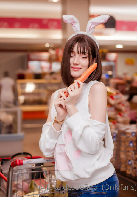 takaidesuoficial model archiv