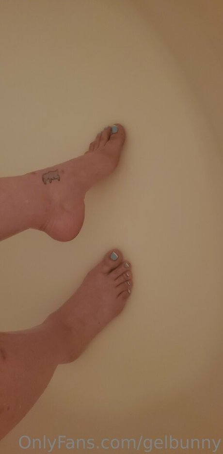 gelbunny freie schöne bild