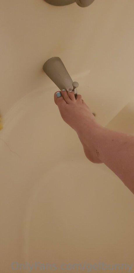 gelbunny perfekte galerie