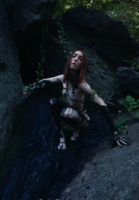 sunset fawn freie beste fotos