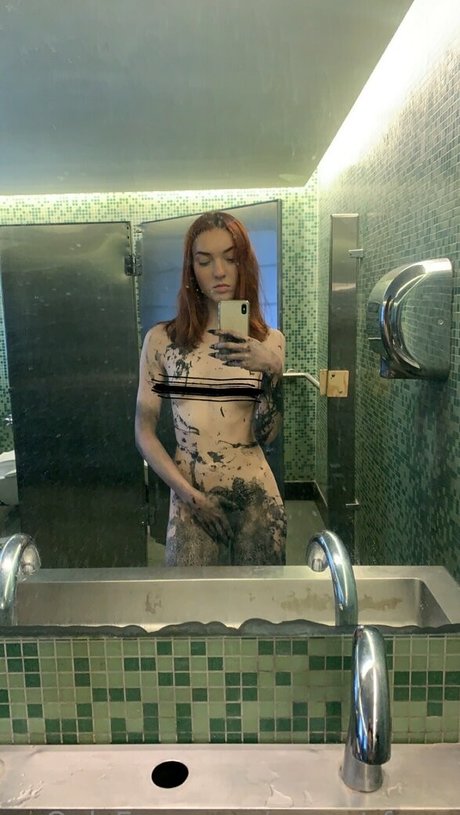 sunset fawn kunst exklusive foto