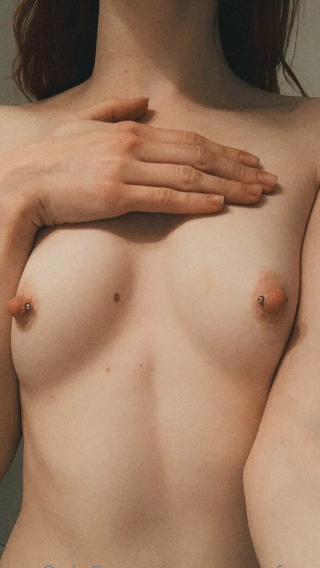 sunset fawn hd xxx galerien