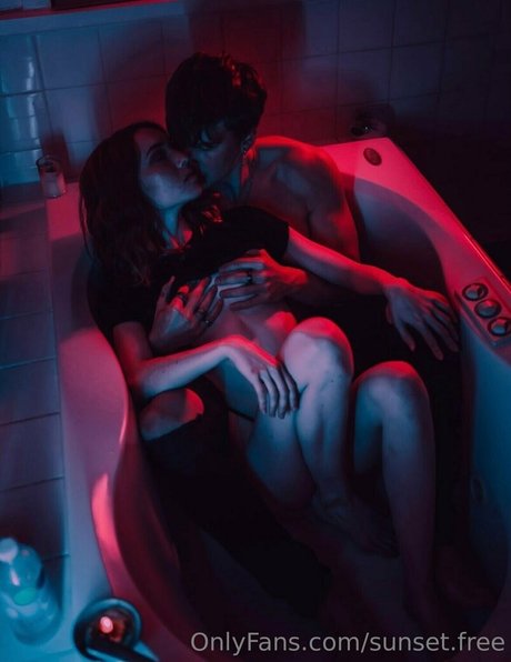 sunset fawn hübsche top bilder