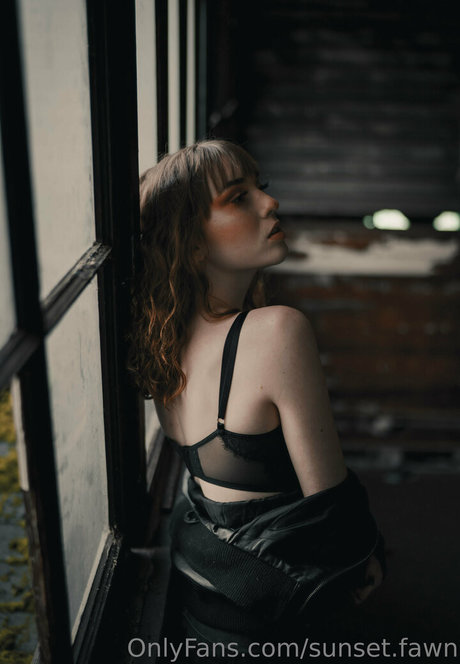 sunset fawn xxx akt galerien