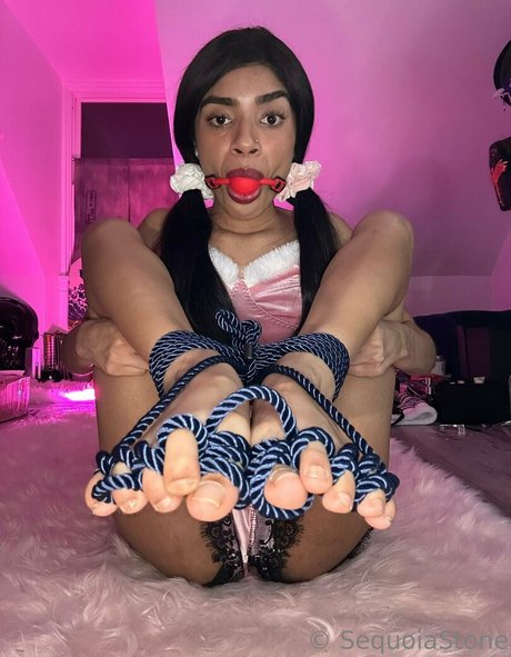 subspacebar schöne hübsche galerien