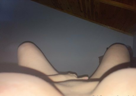 imwethole model freie archiv