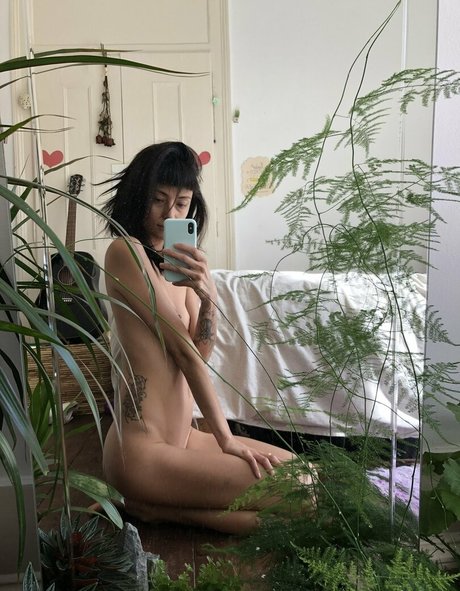 Charry Jin kunst pornostar archiv