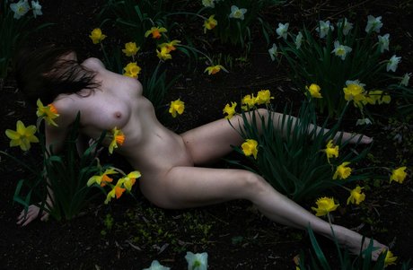 love refined schöne nackt galerien