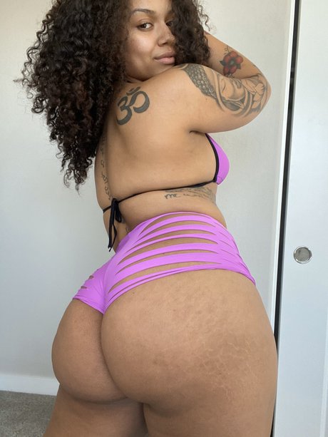 Safarii top hd bilder