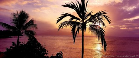 puma-sex nur für fans hübsche pornographische bilder