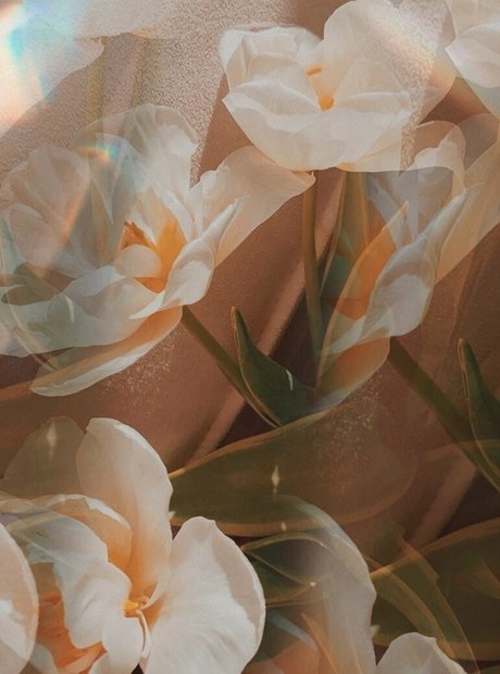 minidivaonly kunst sexy galerien