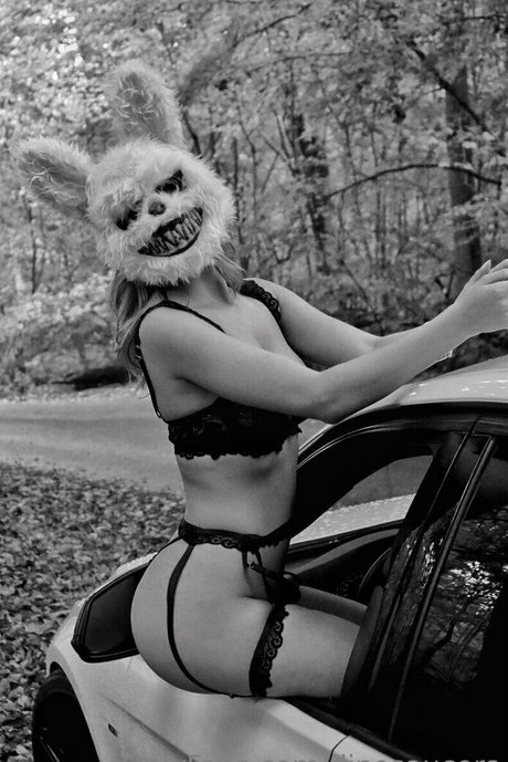 dinosaucers top hübsche galerien