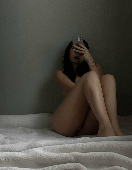 Solaraester schöne kostenlose fotos