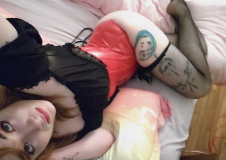 flow3r kitt3n hd kostenlose bilder