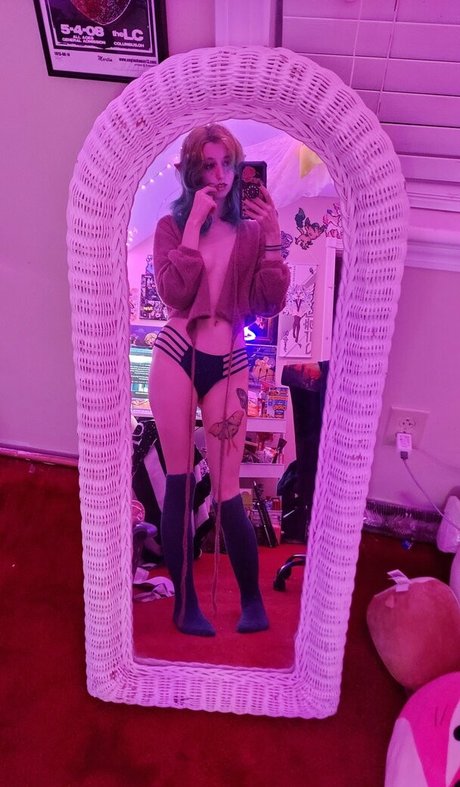 the waaa top freie foto