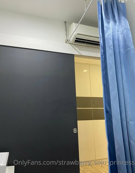 strawberry soju princess erwachsene top archiv