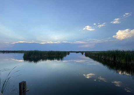 toxicannabella model akt bilder