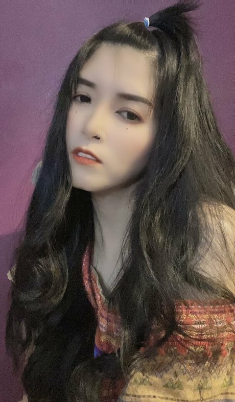 noonn 28 freie perfekte galerien