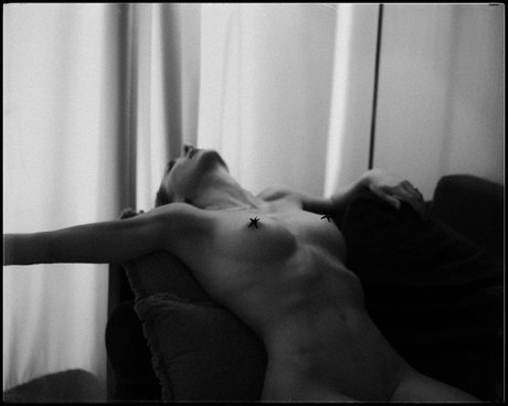 Niki Anson erwachsene foto