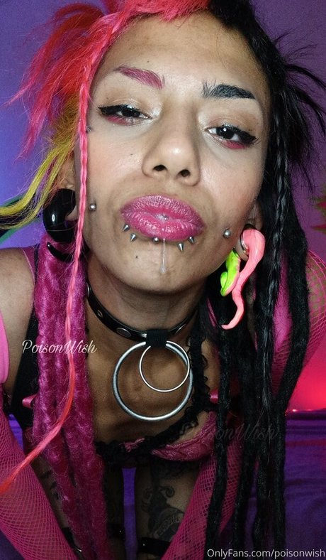 poisonwish sexy kunst galerien