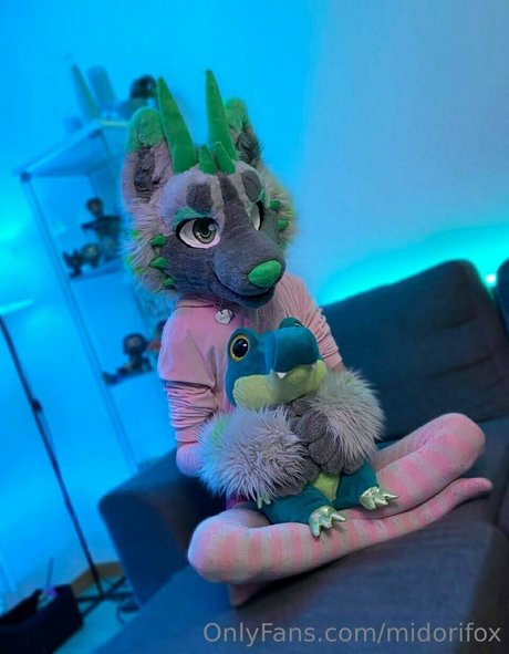 midorifox exklusive perfekte bild