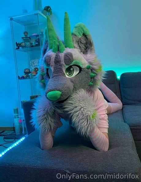 midorifox top schöne bilder