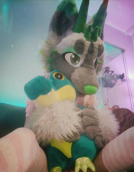 midorifox top kunst archiv