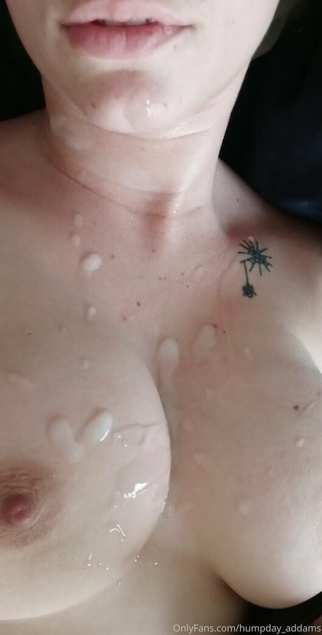 humpday addams hd kostenlose fotos