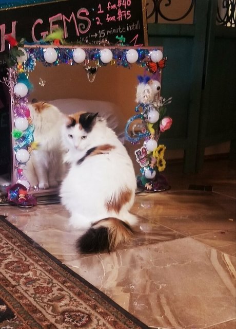 empressming porno nackten archiv