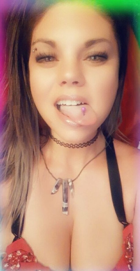 ddrose11 top kunst archiv