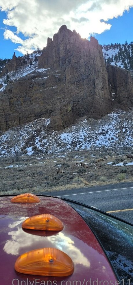 ddrose11 kostenlose sex foto