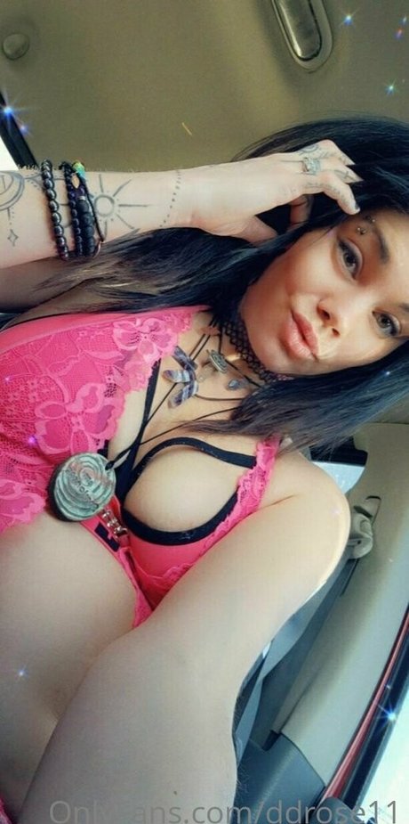 ddrose11 exklusive schöne fotos