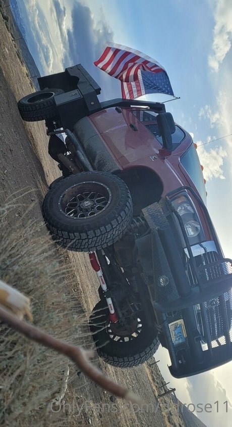 ddrose11 kostenlose schöne galerien