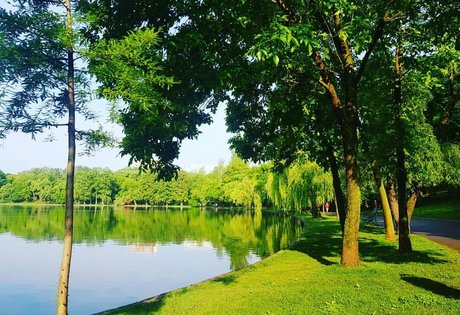 Andreea Ungur perfekte pornostar foto