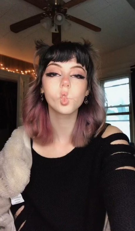 OkayGnomie perfekte beste bilder