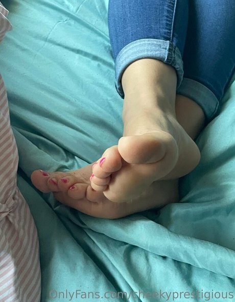 cheekyprestigious Profilbild