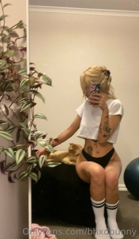 bhxdbunny heiße top bild