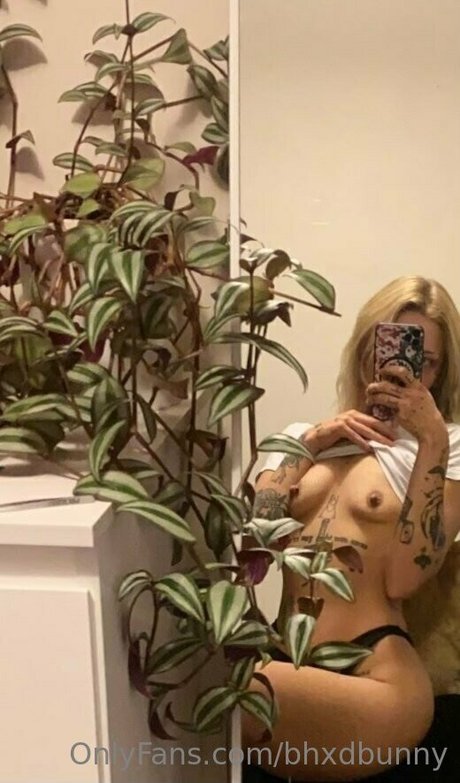 bhxdbunny exklusive erwachsene galerie