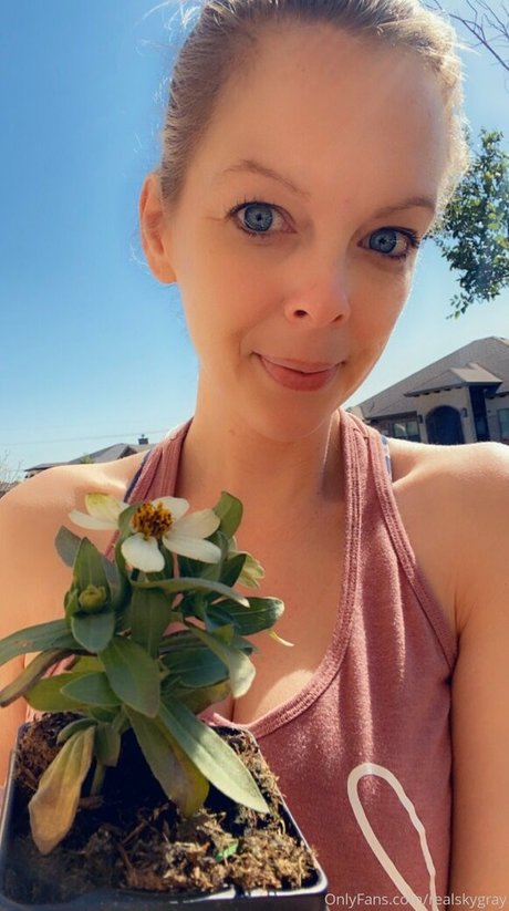 realskygray top exklusive bilder