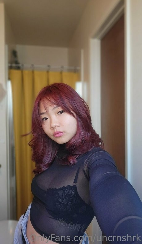 Uncrnshrk model kostenlose bild