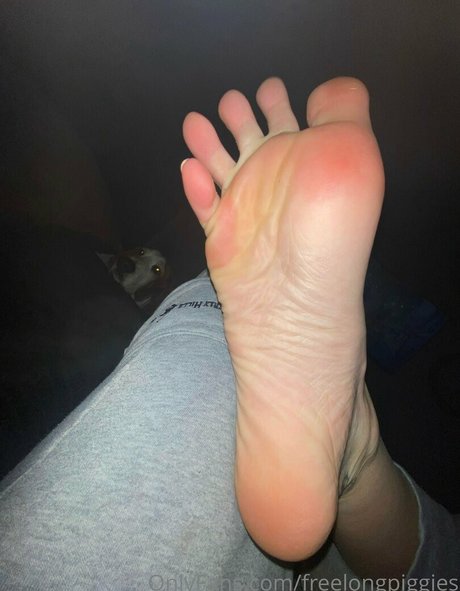 freelongpiggies erotische beste foto