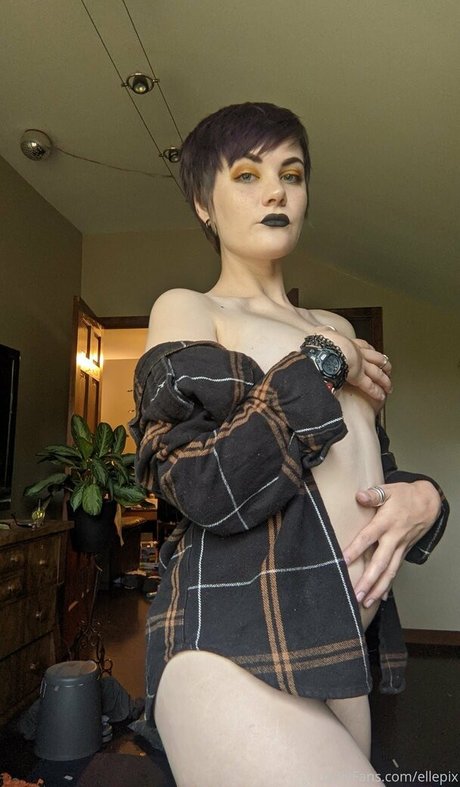 ellepix sexy kunst bild