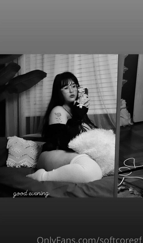 softcoregf top perfekte archiv