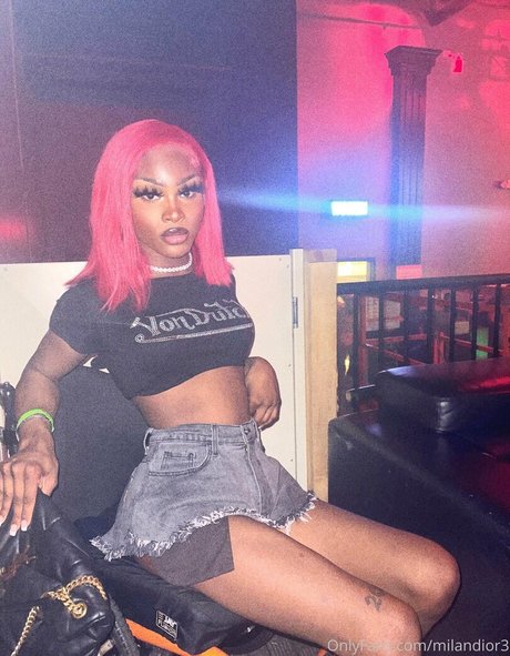 milandior3 beste freie fotos