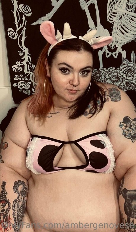 ambergenovese hübsche beste galerien