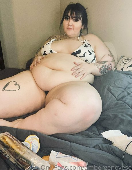 ambergenovese kostenlose hd fotos