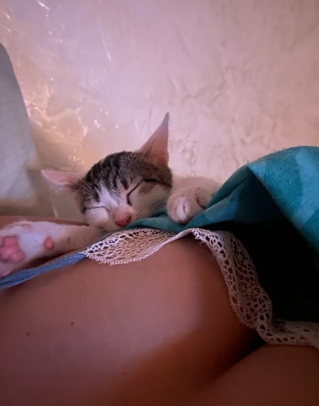 Sofuckingood13 kunst erotische galerien